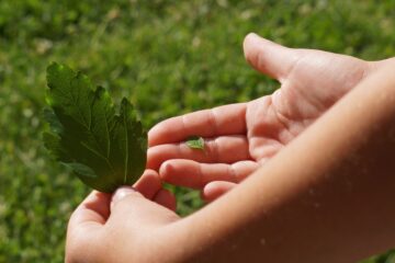 Dlaczego porównywanie się do innych hamuje rozwój?